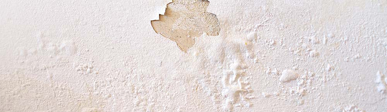 mur moisi